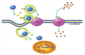 Nanomaterials  February-1 2023 - Browse Articles